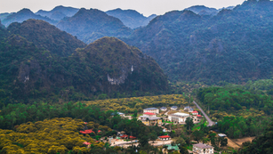 Vietnam Unveiled A Bird Watchers Paradise From National Park to Islands