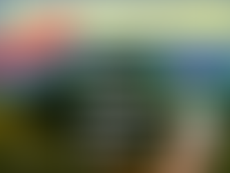 Tractorista - Flores