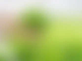 Peón para hidropinia