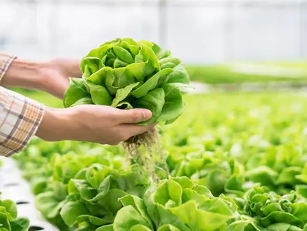 Peón para hidropinia