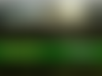 Capataz - Río Negro