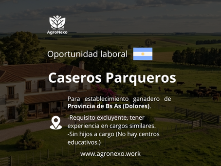 Caseros Parqueros (Argentina)