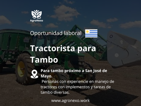 Tractorista para Tambo