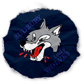 SLW STICKER.png