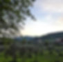 IMG_20200425_185632 copia.jpg