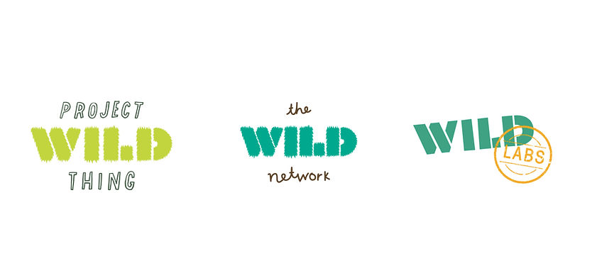 WILD STUFF CV.001.jpeg