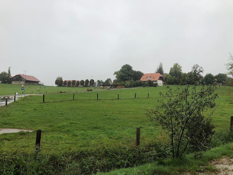 maisons à vendre (avant)