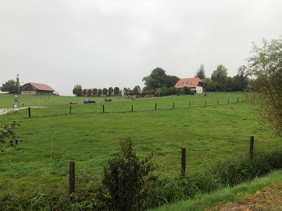 maisons à vendre (arrière)