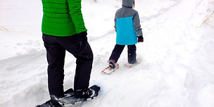 GroomedSnowshoe.jpg