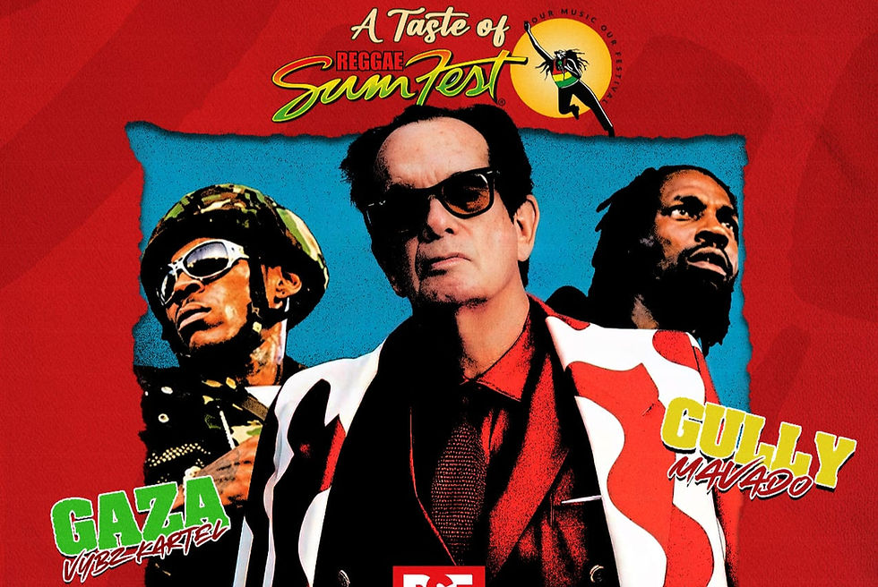 Exclusive: 10 Years of Reggae Sumfest Under the Helm of DownSound Ent.