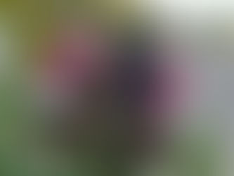 Chronic Law's Manager Bashy Seeks Justice After Tragic Loss of 4-Year-Old Daughter