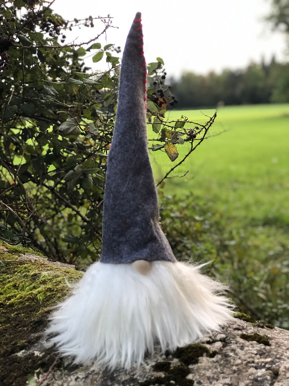Tomte 49