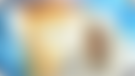 הפרק היומי - מסכת ברכות פרק ד' | הגאון הרב ליאור כהן שליט''א