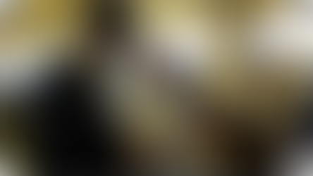 ליין מיוחד | לקראת חלוקת "קמחא דפסחא" הענקית ל-4,000 משפחות