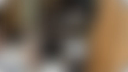 גשר של אחדות | כשתיכוניסטים פגשו את עולם התורה