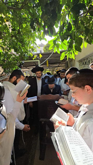 שֶׁלֹּא חִסֵּר בְּעוֹלָמוֹ כְּלוּם: מרן שליט"א הבוקר בברכת האילנות