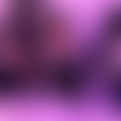 עוד ישמע | חתונת בן ה"ה דוד עשוש בהשתתפות גדולי תורה  