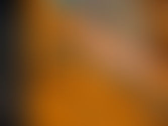 Grundläggning med pålning och spont i hamnmiljö och stadsmiljö under 2025 | PPS Grundläggning