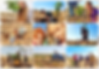 Screenshot 2023-12-27 2.32.38 PM.png