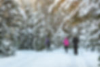 plein-air-hiver-ski-de-fond_2.jpg