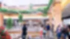 9ec316_c6ac017e945f4fb2b6c54fd9713096ea~mv2.webp