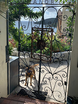 IMG_4306.JPEG