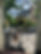 IMG_4306.JPEG