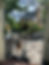 IMG_4306.JPEG