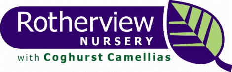 Rotherveiw logo.gif