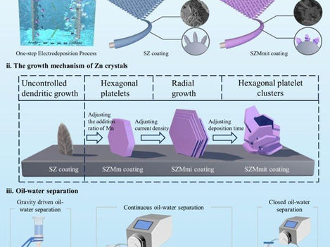 We published in the Chemical Engineering Journal, presenting a novel one-step fabrication method for robust superwetting materials