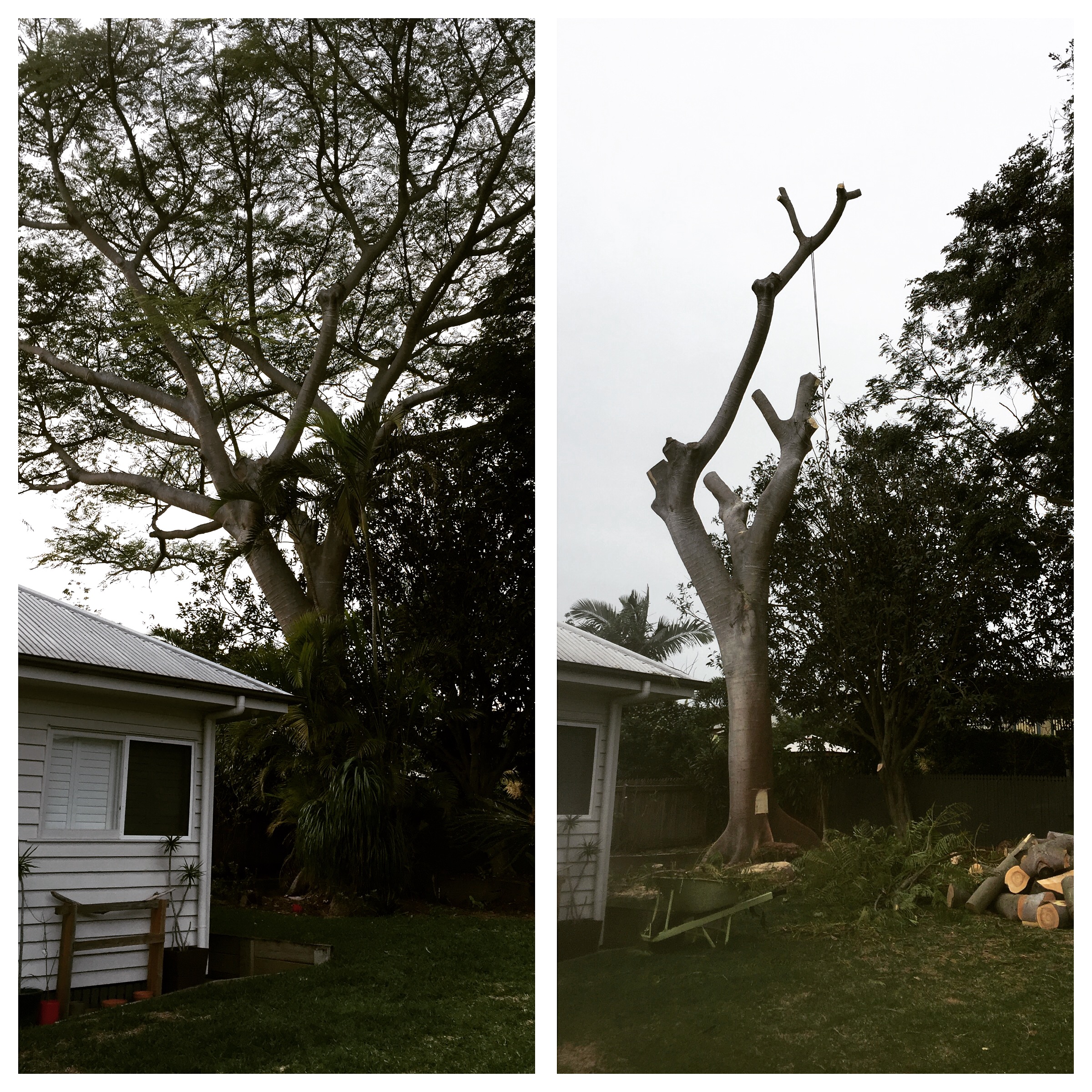 Viking Arborist Karlstad och hela Värmlands för trädfällning och beskärning