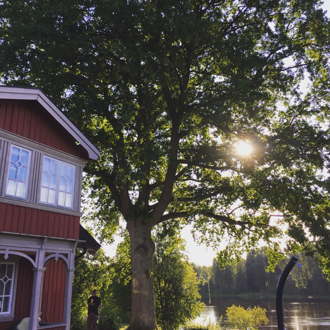 Viking Arborist Karlstad och hela Värmlands för trädfällning och beskärning