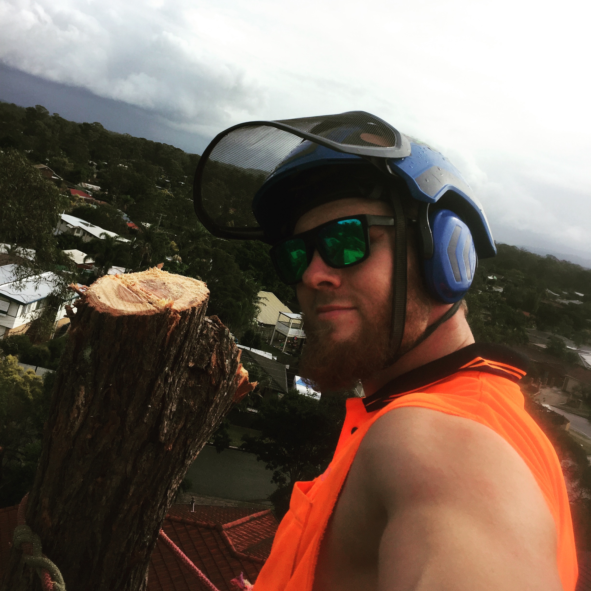 Viking Arborist Karlstad och hela Värmlands för trädfällning och beskärning
