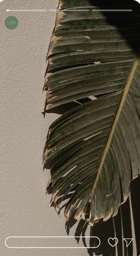 Elysian Creative- website development