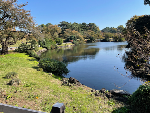 Beautiful water body in Shinjuku Gyoen National Garden