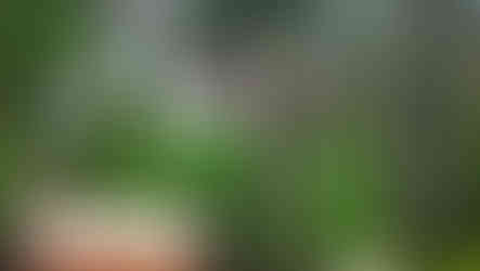 Totem poles at Capilano Suspension Bridge