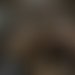 Display at Vasa Museum