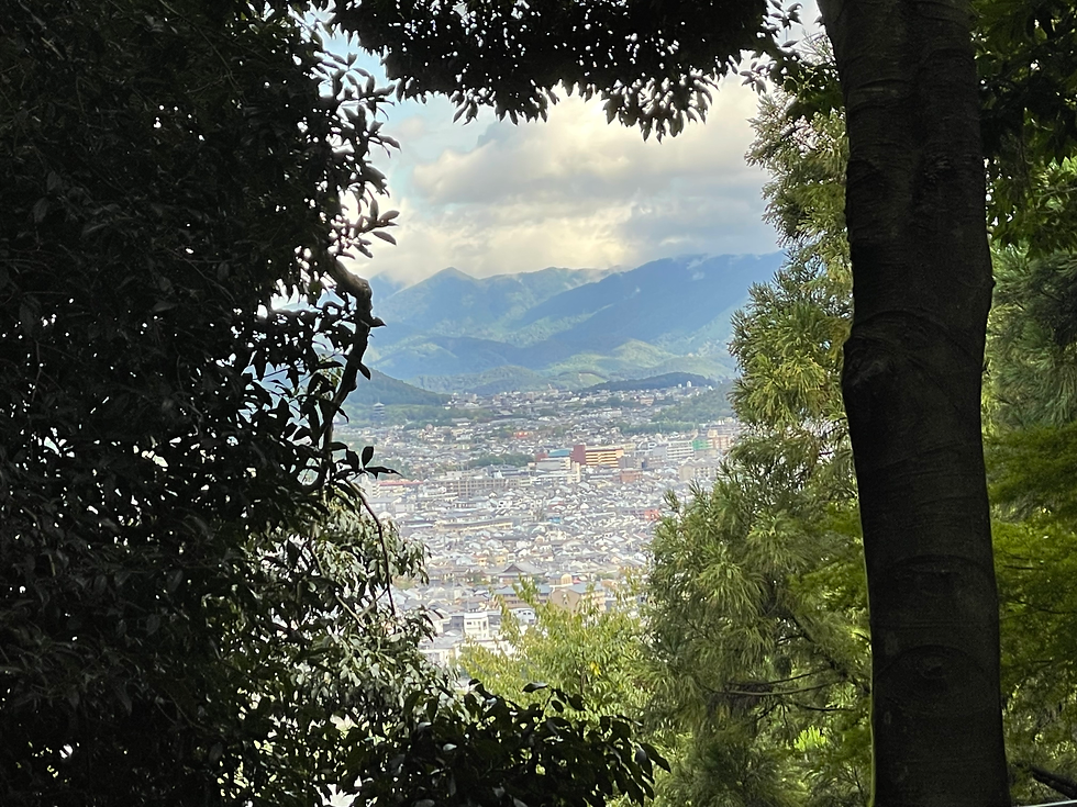 Beautiful views of the city of Kyoto en route to the monkey park