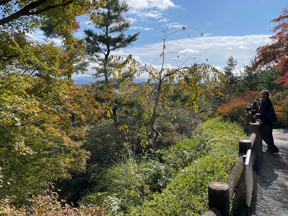 Stunning locales at the Sogenchi Garden in Arashiyama region