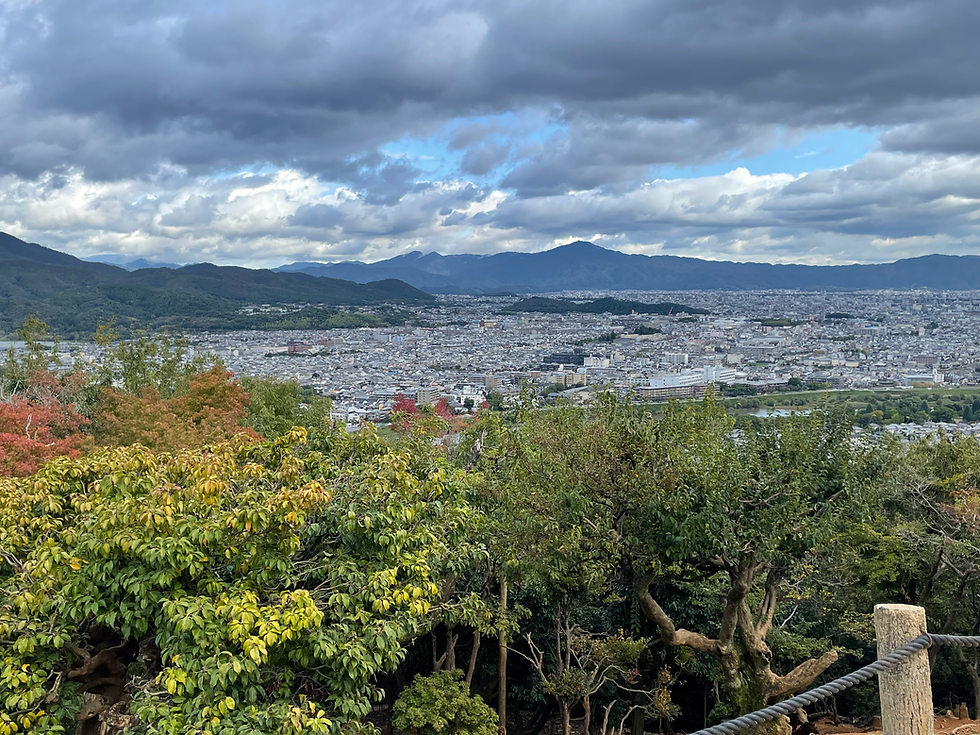 Splendid views of the city of Kyoto from the top... 

