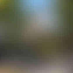 Himeji Castle visible from the road