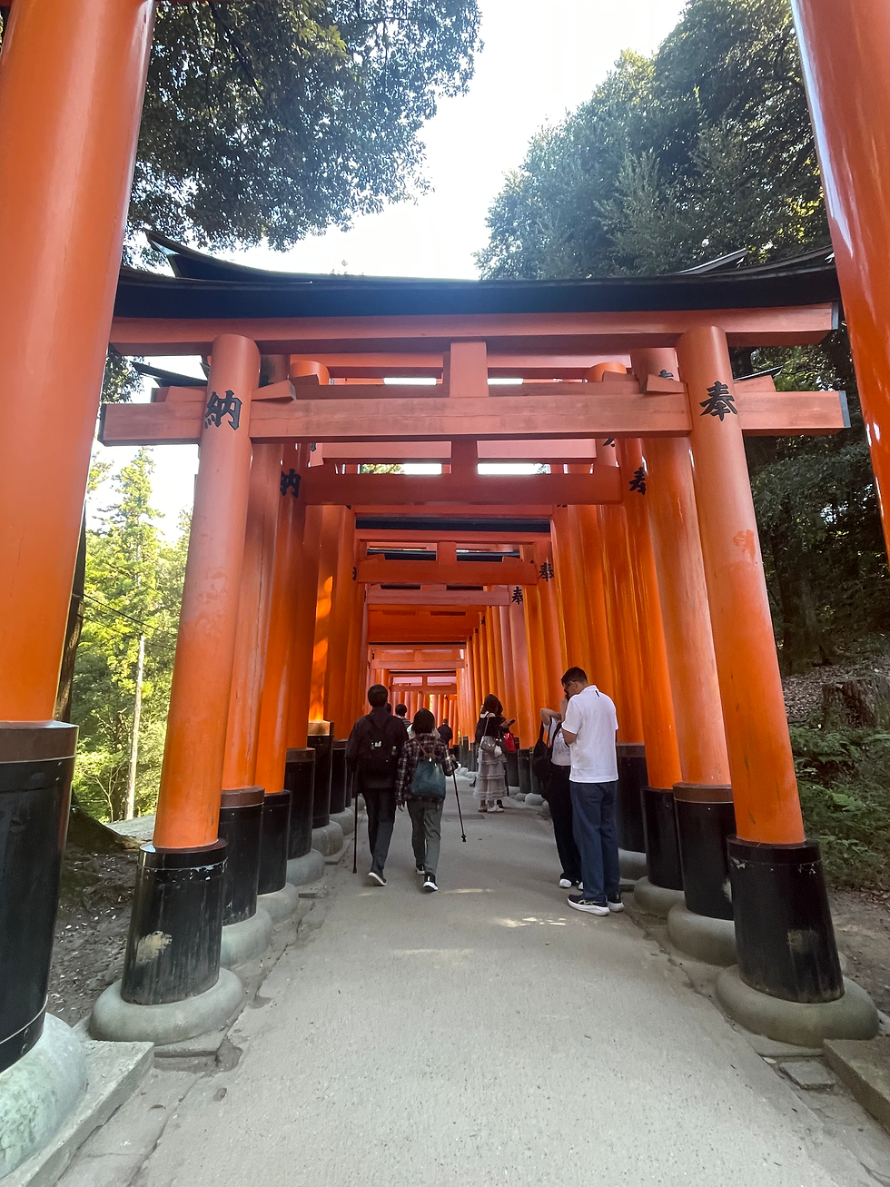 Torii gates at Fushimi Inari