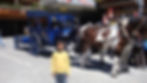 horsecart ride in zermatt