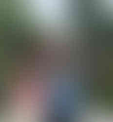 sohirashi bridge at sumiyoshi taisha shrine osaka