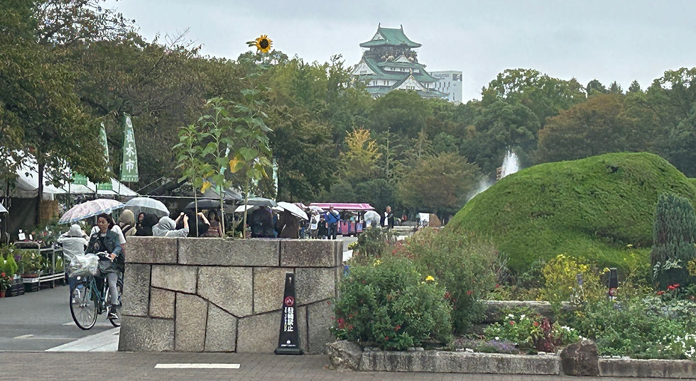 Views of Osaka Castle from Morinomiya Station