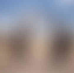 At Hall of Fame, the army museum in Leh