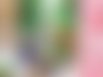 TriYoga Seeds2周年オンラインイベント開催しました