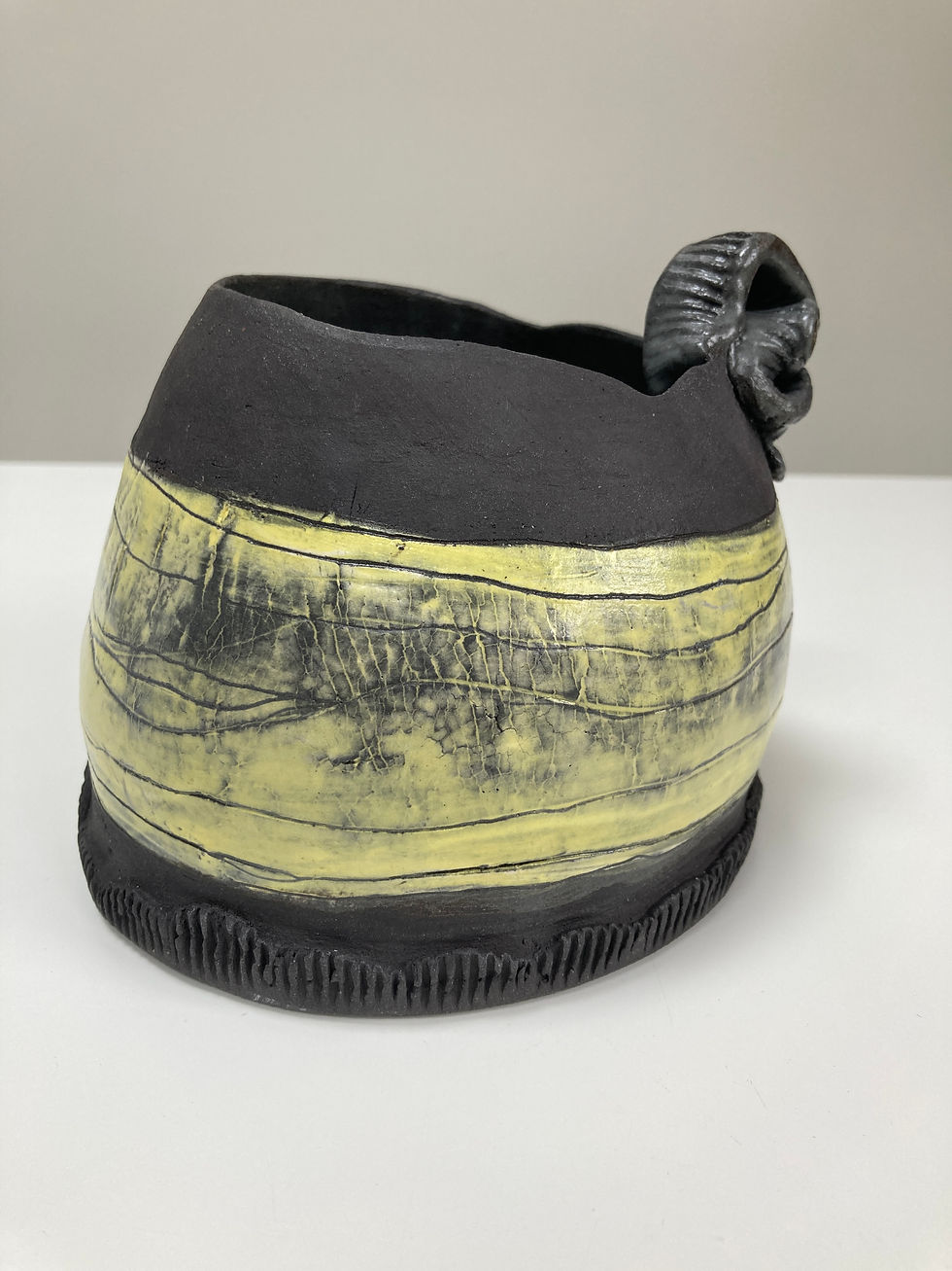 The Fat Black Vase