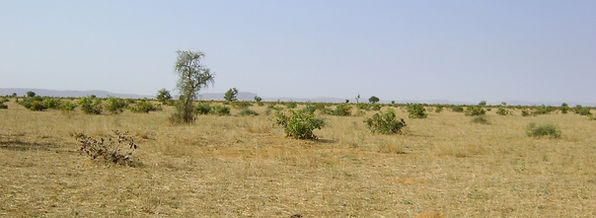 Picture4.jpg