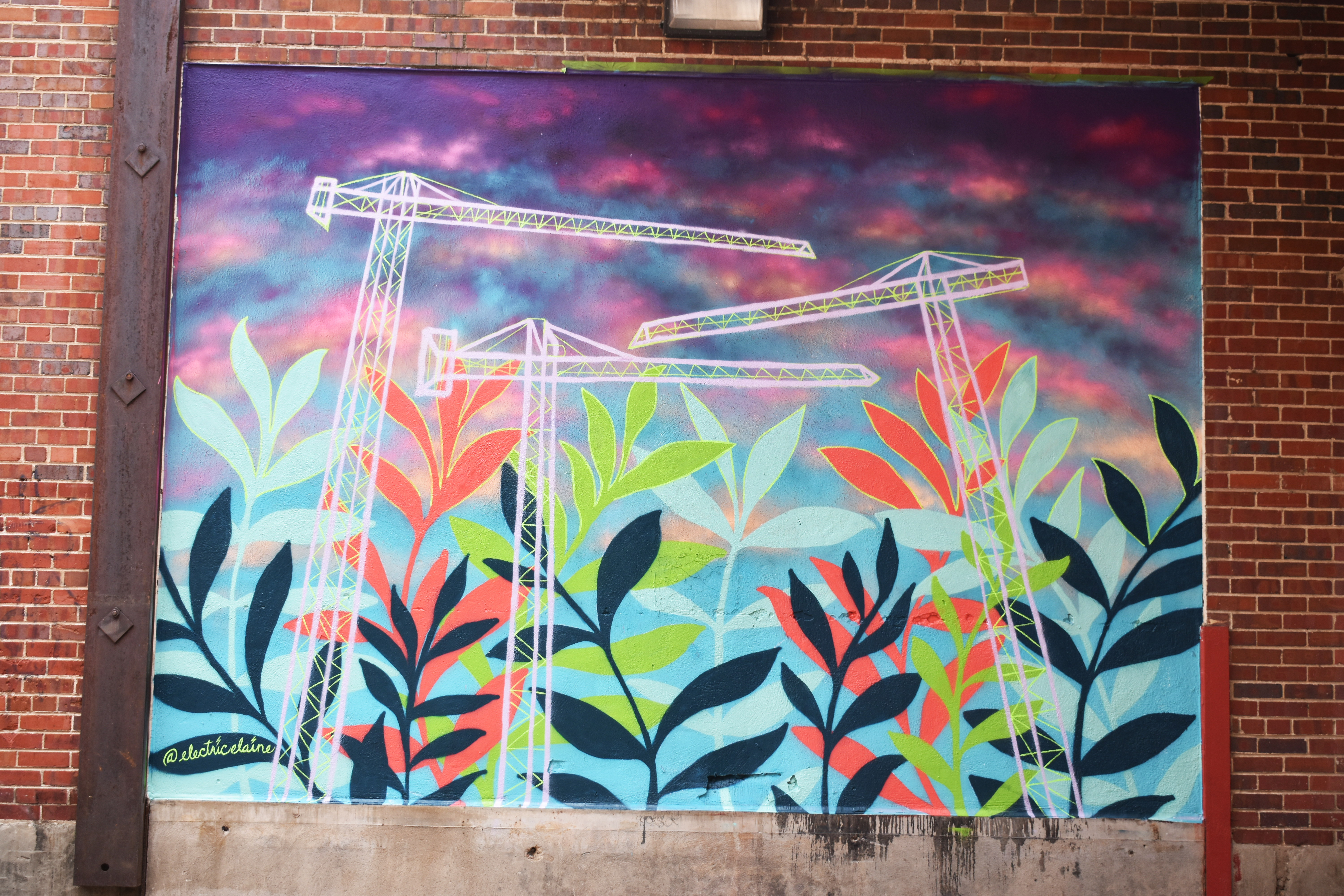 Colorcon_Murals_DSC_0975